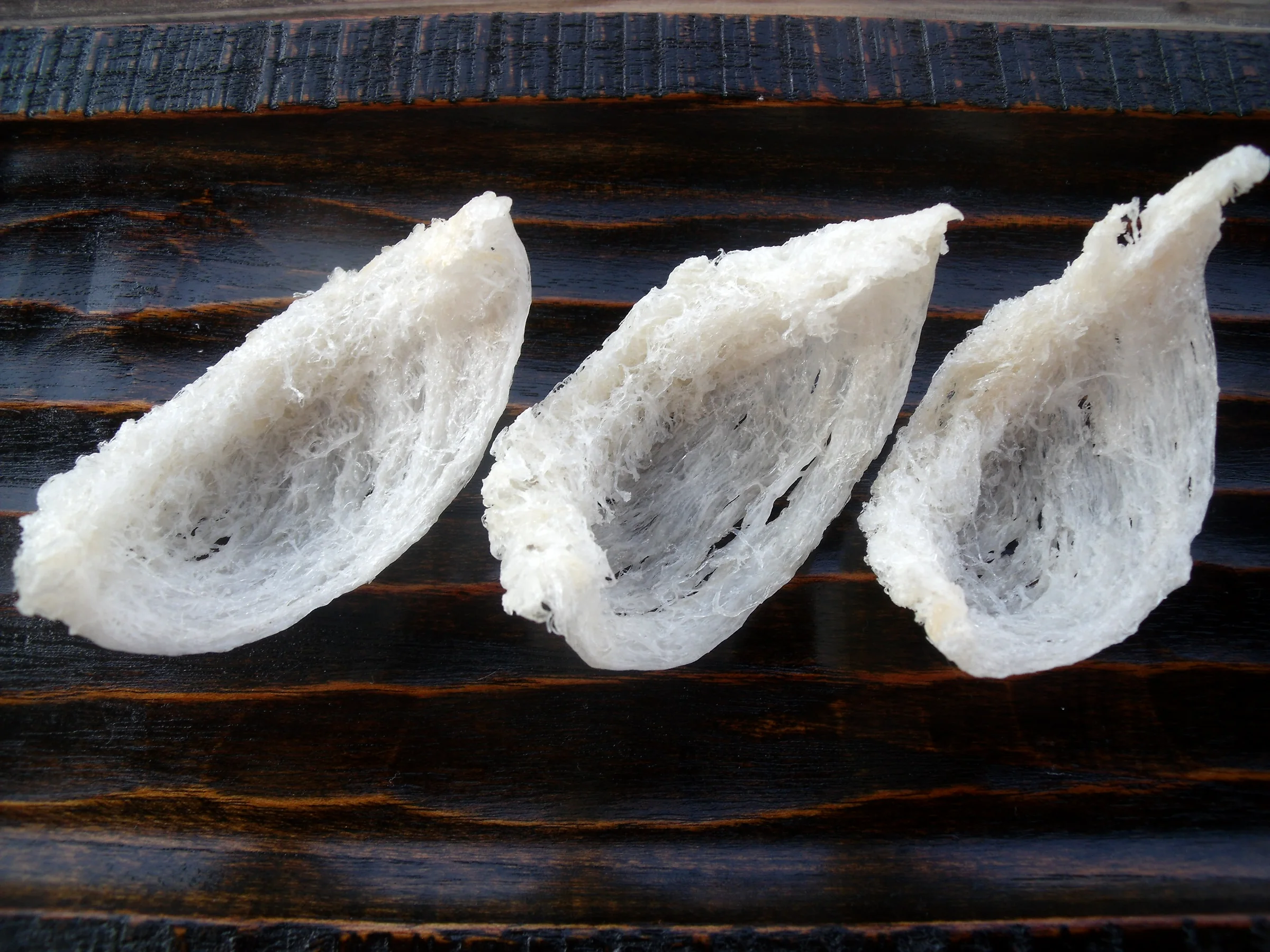 Tổ yến sào Khánh Hòa